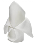 White 20 White 20